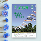 青い花と雑誌の表紙がうつっている写真