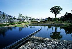 木々や整備された芝がまわりを囲む修景池の写真