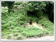 緑の木々がたくさん生える吉見丘陵にある黒岩横穴墓群の写真