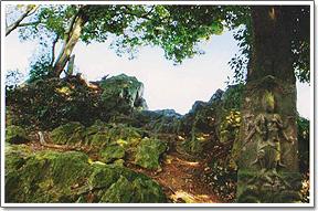 高負彦根神社の境内裏にある岩山の写真