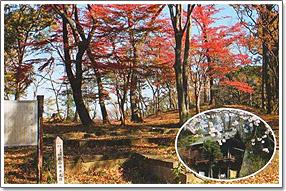 松山城跡と岩室観音の写真