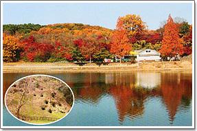 紅葉で色づいた木々が湖畔に並ぶ八丁湖と黒岩横穴群の写真