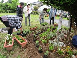 花いっぱい（前山なでしこ）