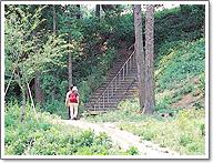 緑の木々の中に長い階段あり登ろうとする人の姿があるポンポン山の写真