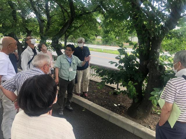 クビアカツヤカミキリ対策研修会2