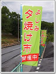 舗装道路の路肩に間隔をあけて数本立てられたよしみ夕焼け市開催中と書かれた黄緑色に赤文字ののぼりの写真