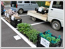 舗装された駐車場の上や軽トラックの荷台に並べられた苗や野菜等が売られているゆう焼け市の写真